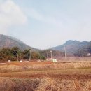 득운장