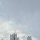 에코데시앙공인중개사사무소 이미지