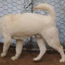 떡대 - 광진구 군자로 31-1 | 떡대