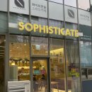 소피스티케이트(SOPHISTICATE)