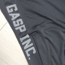 가스프(GASP) 이미지