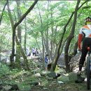 백제골2 이미지