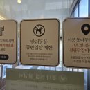 벽계관광지 통나무집 | [춘천] 춘천 닭갈비 통나무집 닭갈비 본점 재방문 후기 춘천 나들이 코스 추천