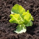 심기보농장 이미지