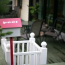 굿바이펫 이미지