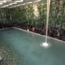 옥금탕 | 경기도 수원시에 있는 대형온천,찜질방 : 온수골온천