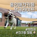 석성로301번길 이미지