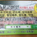 강원민박 이미지