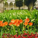 자연의 품 이미지