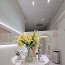 에스테틱새로움 이미지