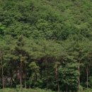 광재농장 | 산딸기닷컴 농장일기 6월1~30일까지 및 후기