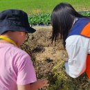 소중농장 이미지