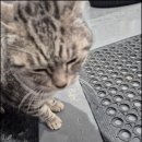 송정타이어 이미지