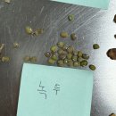 녹두로R 이미지