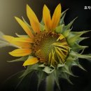 효자실버요양원 이미지