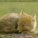 승현약국 이미지