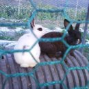 동혜농장 이미지