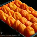 선바우농장 Daum카페