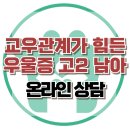 [온라인상담: 교우 관계가 힘든 고2 우울증 남학생] 무기력, 아동 상담, 청소년 상담, 강남사회성센터, 한국아동청소년심리상담센터 이미지