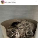 스파이키2호점