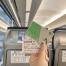 포코모 | 여름 1박 2일 도쿄 여행 준비, 일정
