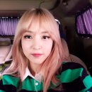 별바라기 이미지