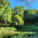 책달샘숲속작은도서관 이미지