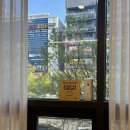 더 데일리 왁싱