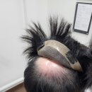 장림동장수 | 남자 남성 바로쓸수 있는 45만원 당일맞춤가발은 기성 스탁은 현재 품절입니다.