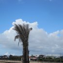 신도초등 이미지