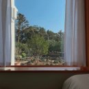 폴개우영 이미지