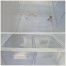 강산세탁 | 도봉구 원룸 입주청소 창동 시드 큐브 오피스텔 이사청소