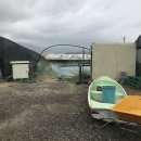 길정천 | 강화도 대하구이_선두수산양식장(내돈내먹솔직후기)