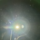 김가네 냐짱여행 24.1