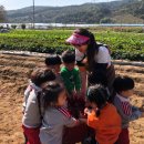 수곡어린이집 이미지