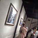 꽁시파차이 이미지