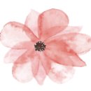 단꽃케이크 네이버블로그