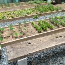 소창한의원 이미지