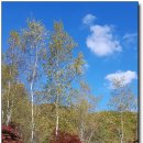 평창농원 이미지