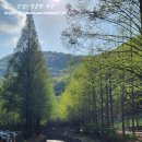 솔가숯불갈비대전 이미지