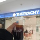 더��(THE) | 토론토 카페 더피치 The Peachy 핀치점 내돈내산 후기