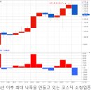 스몰캡 낙폭 금융위기 수준 : 무차별적 투매 속 소형주의 현주소는? 이미지