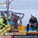 민 목장 이미지