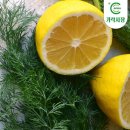 레몬 이미지