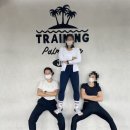 트레이닝팜트리 이미지