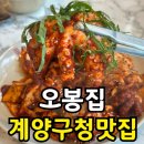 계양문화로 53번길 | [계양구청 점심 할인 맛집] 오봉집 계산점 후기｜낙지볶음·보쌈·막국수 가성비 세트