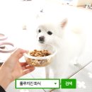 래온동물병원 | 사료 안먹는 강아지 룰루키친 화식이면 순삭
