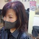 늘해랑헤어 - 94023 | 늘해랑헤어