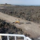 해비치리조트 이미지