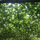 김해농장 이미지